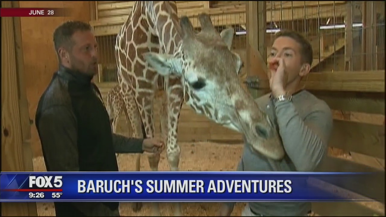 Baruch's Summer Adventures