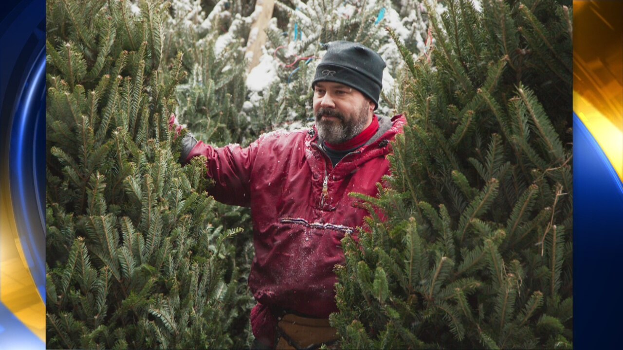 Tree Man