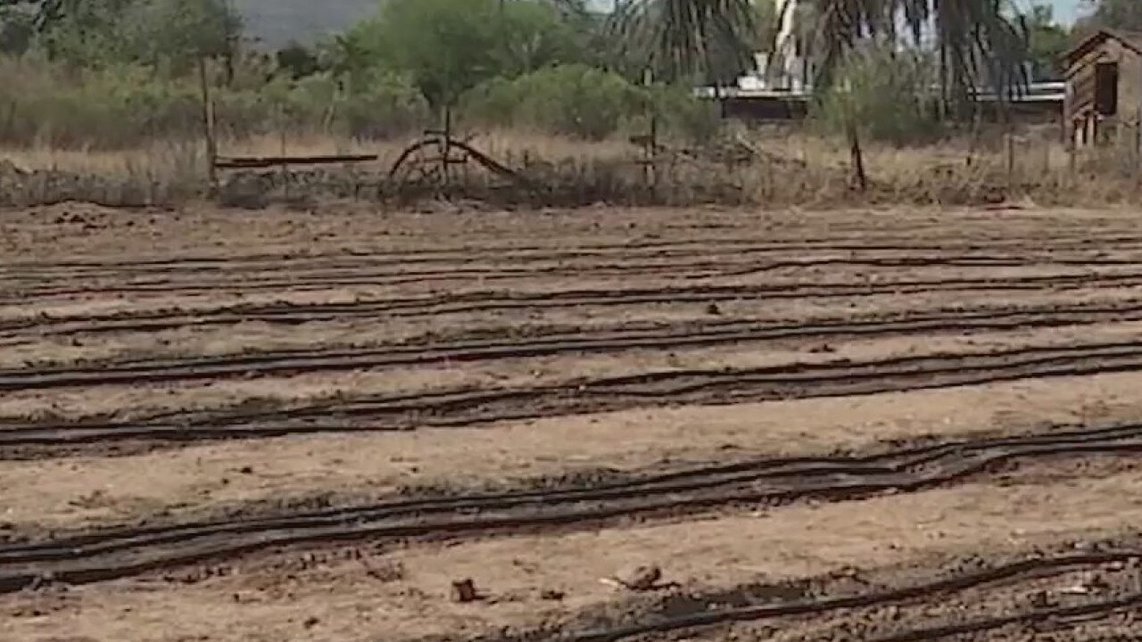 Valley farmers feeling the impact of record-breaking heat
