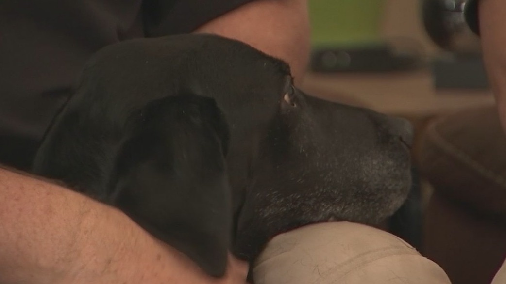 Explosive detective K-9 Brian's handler recalls his time with his partner