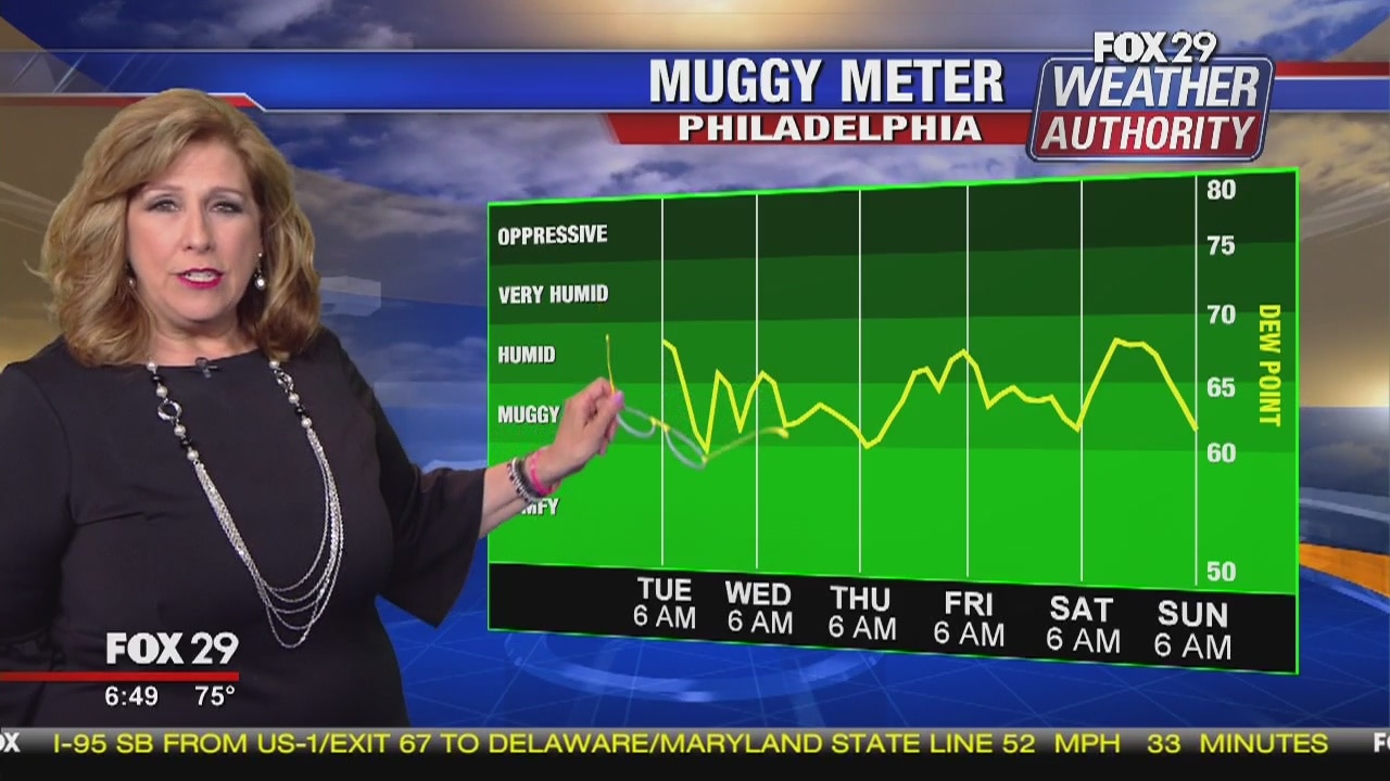 Weather Authority: 7-Day Forecast