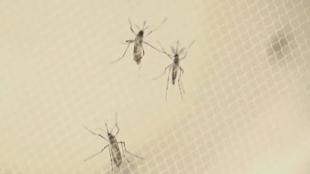 54 West Nile deaths reported this year in Maricopa County