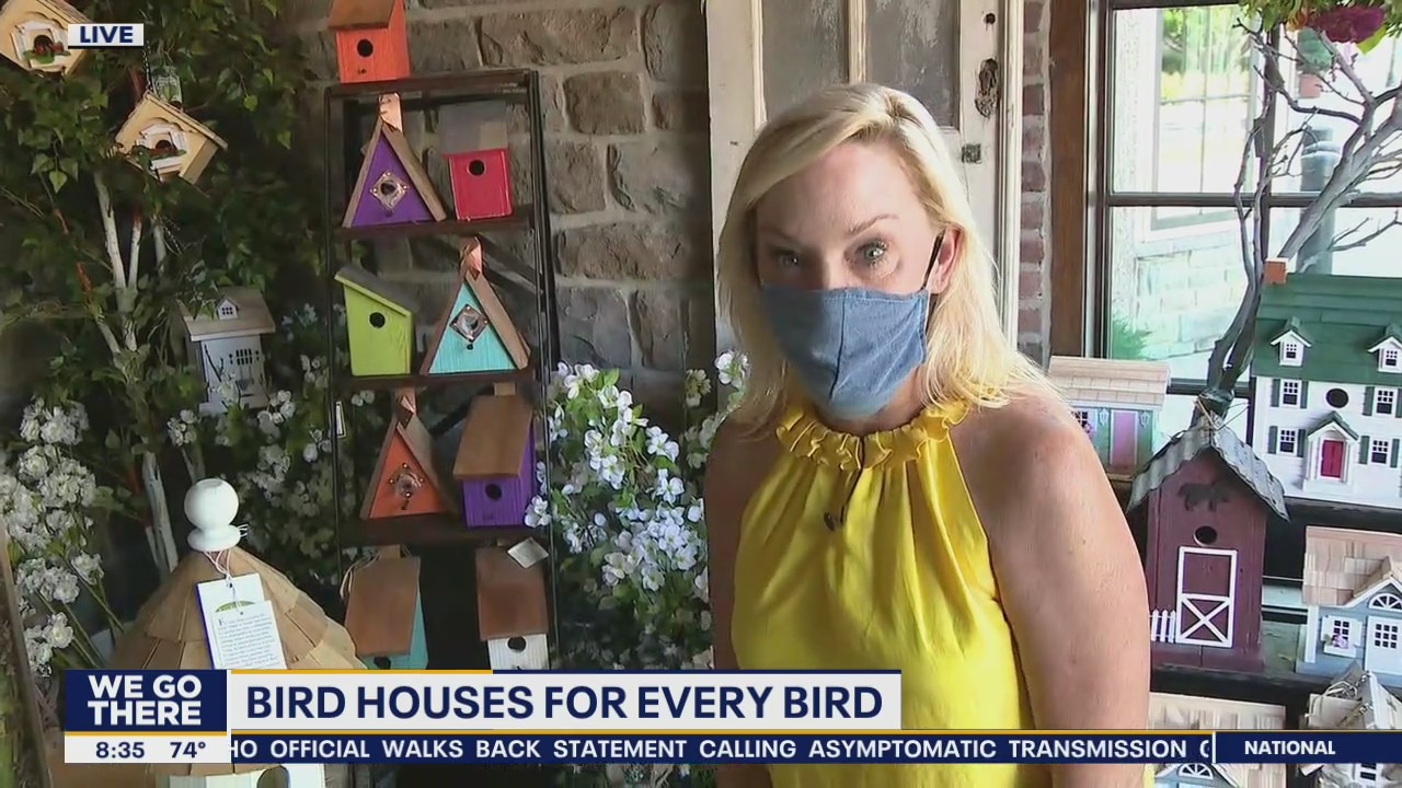 Building the perfect bird house for every bird
