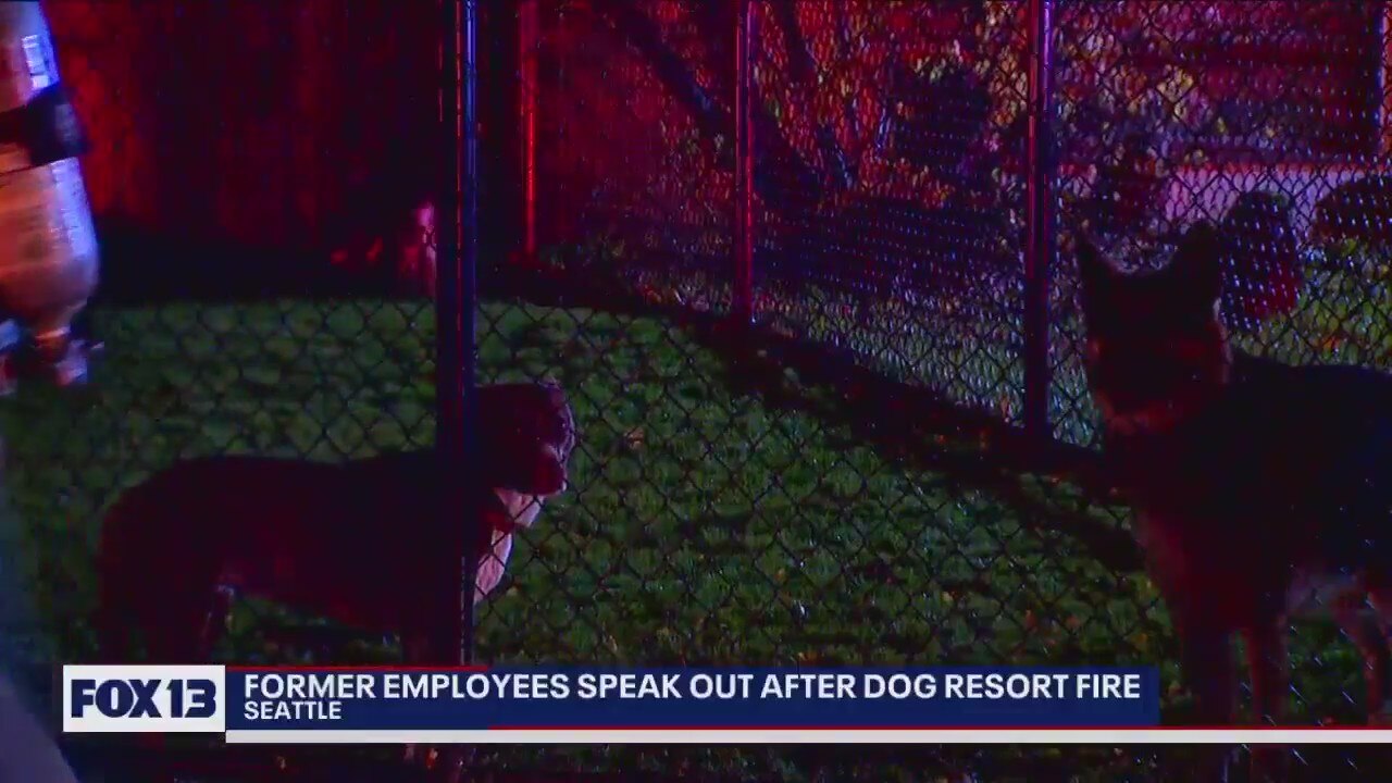 Former employees speak out after dog daycare fire