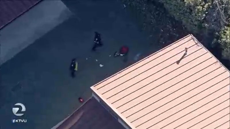 High School student shot and killed in Concord near Olympic High School