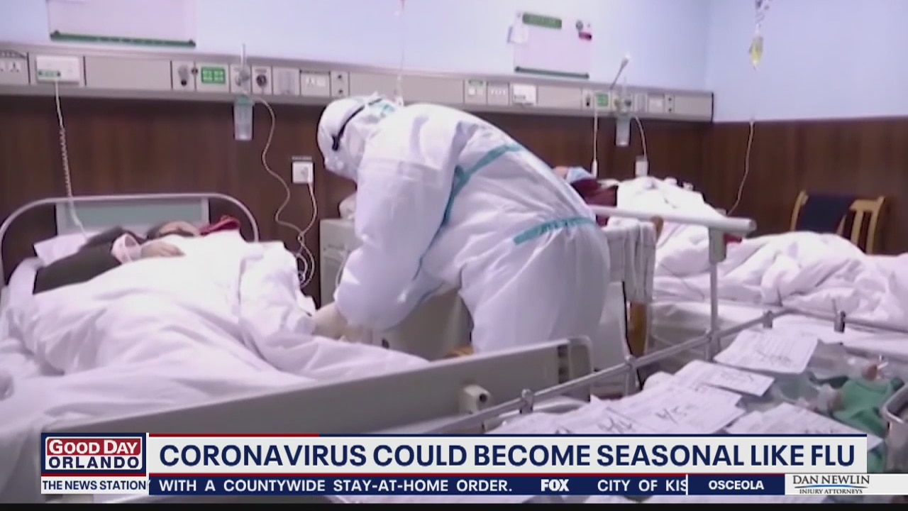 Coronavirus could become seasonal like flu