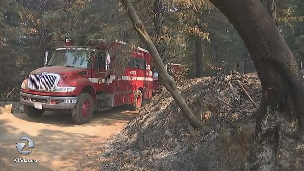 Seven injured in Bear Fire