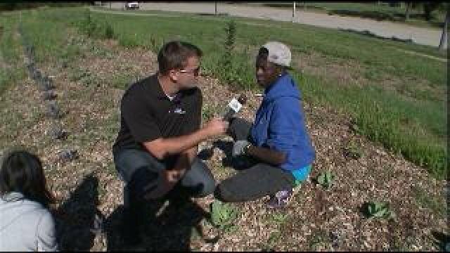 Chip checks out garden at Harold Vincent H.S.