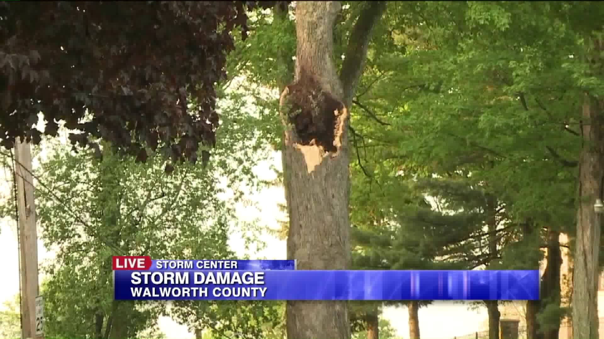 Storm damage