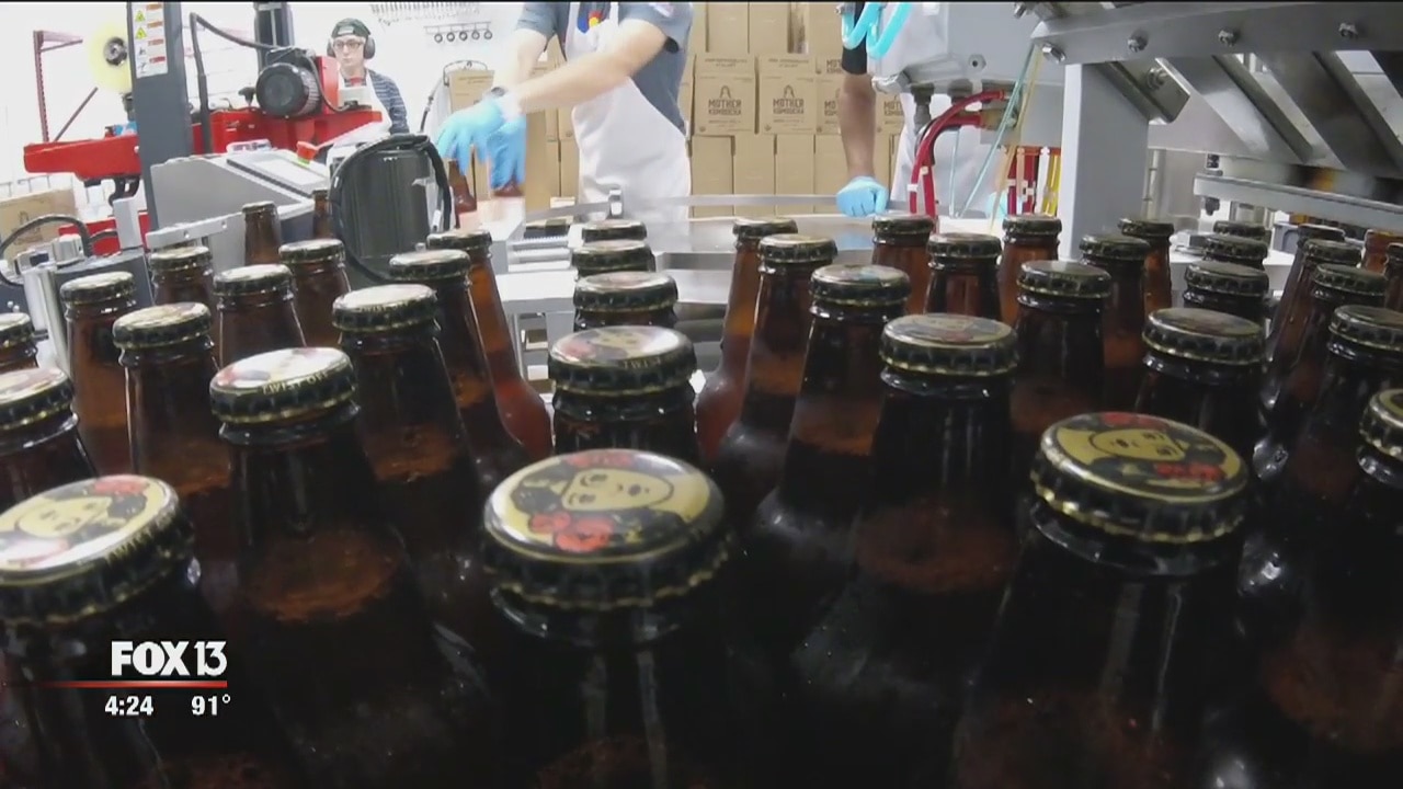 St. Pete-based kombucha goes statewide