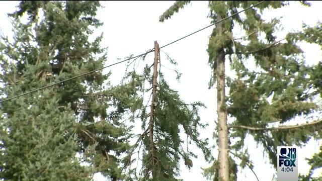 Snohomish power outages