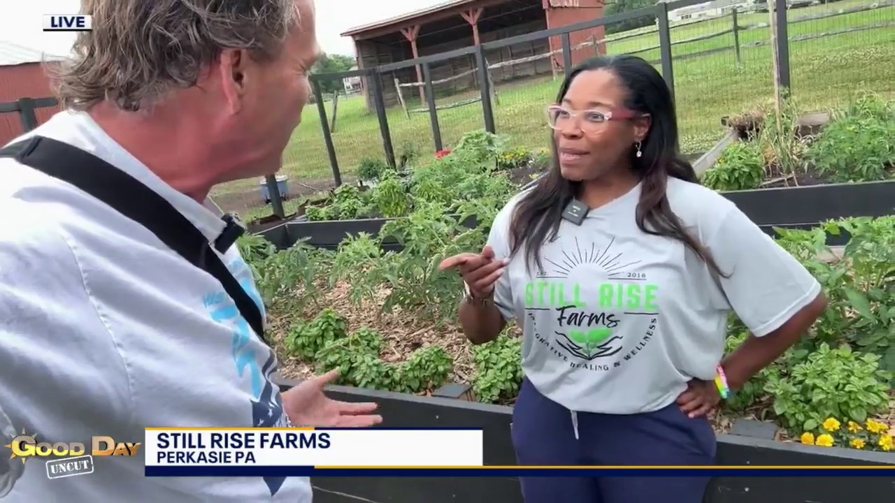 Good Day Uncut: Still Rise Farms