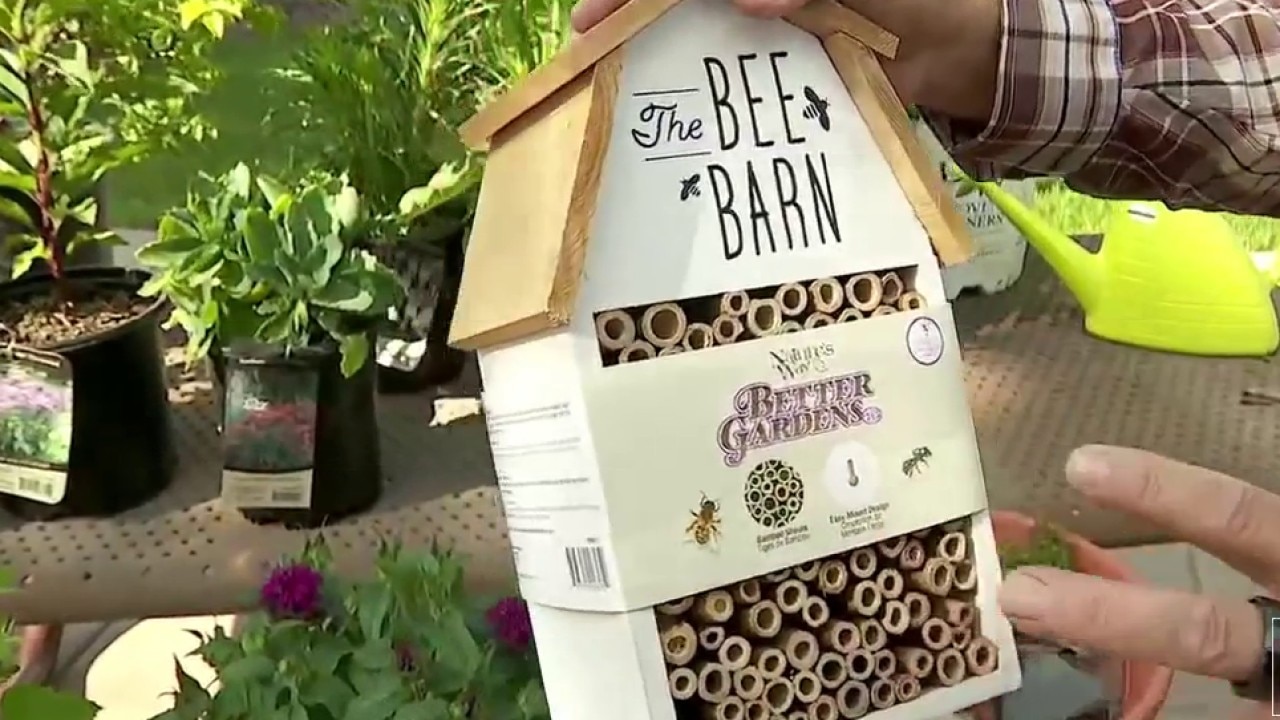 Creating a pollinator-friendly garden