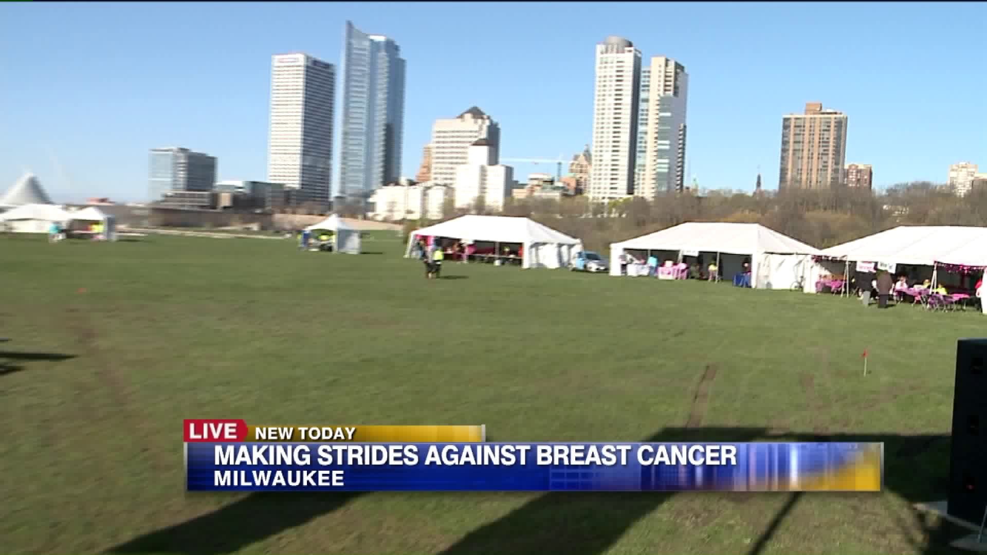 Making Strides Against Breast Cancer preview: Part II