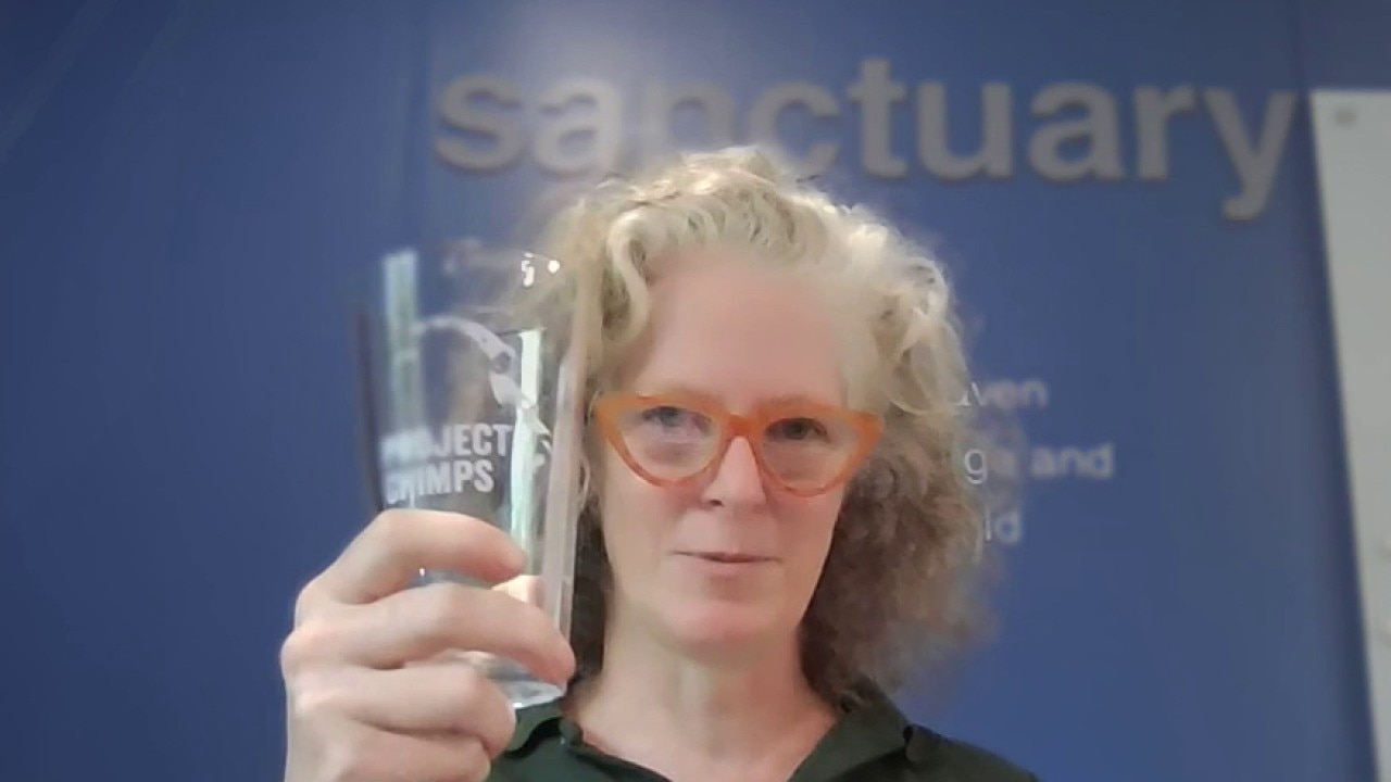 Project Chimp: Raise a glass to help a chimp