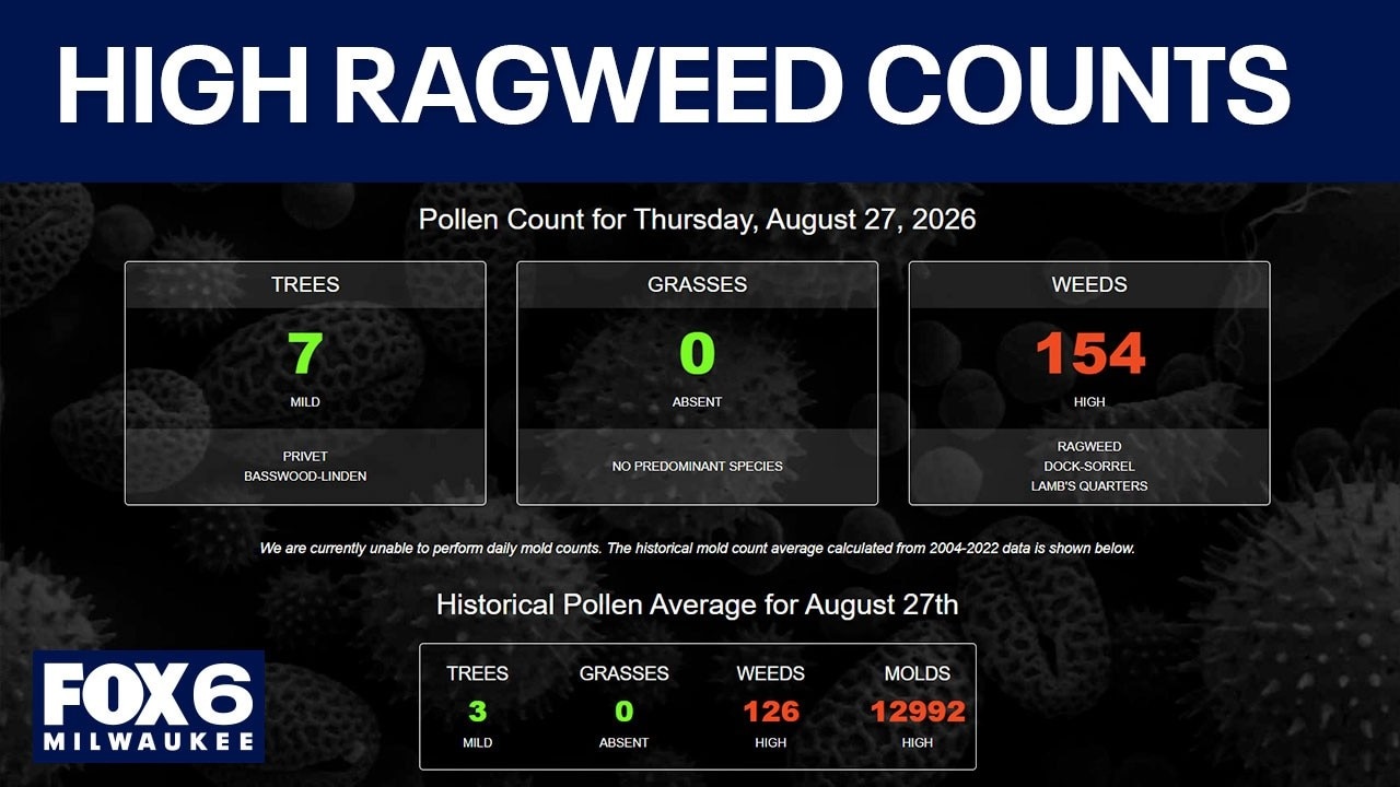 High ragweed counts in southeast Wisconsin