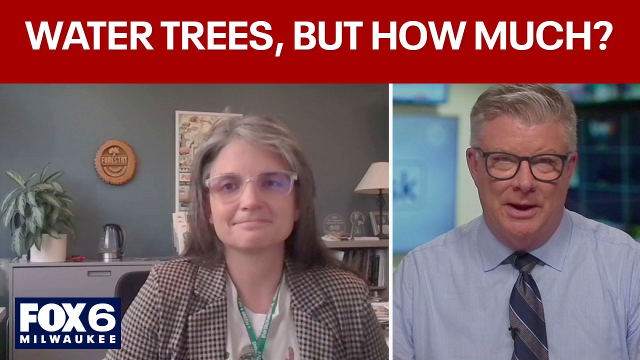 Wisconsin drought; water newly-planted trees, saplings