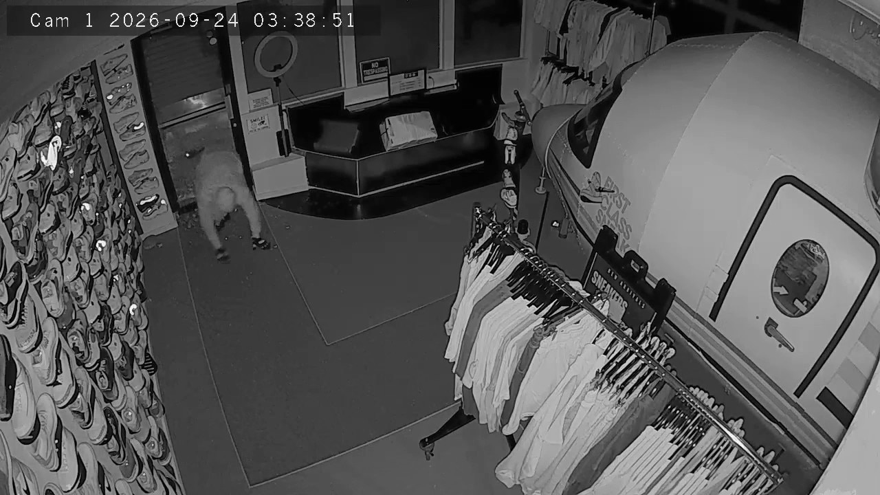 RAW: Thieves break into Atlanta shoe store