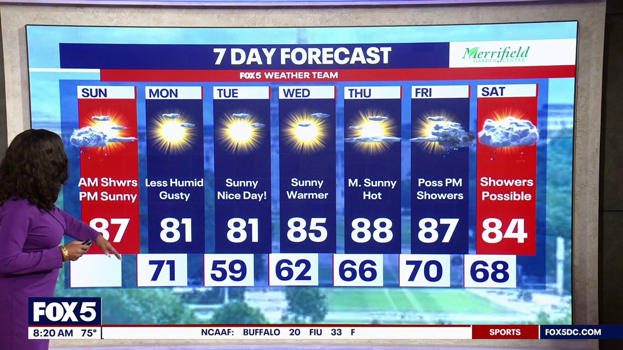 DC weather: Sunday morning forecast