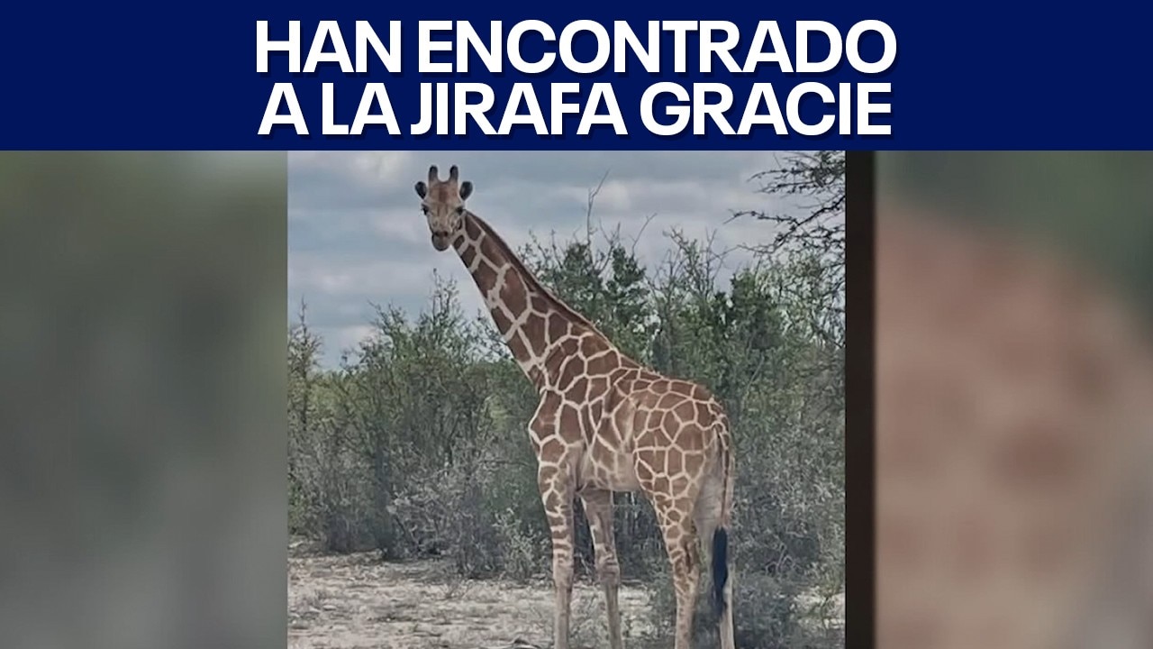 FOX 7 Español - 6/26/2026 Titulares