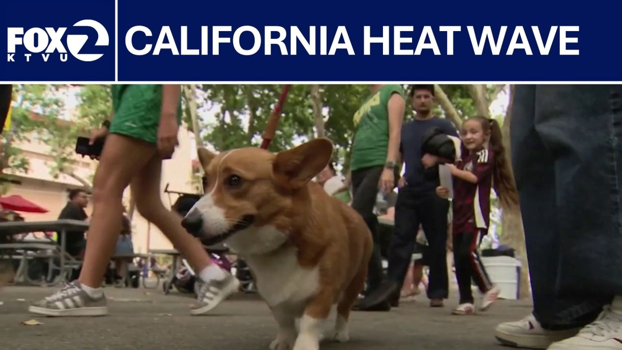 Beating the heat at Alameda County Fair