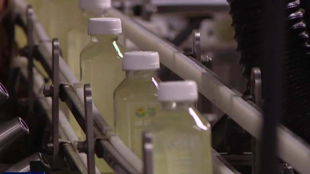 The Lemonicious Drink Company 