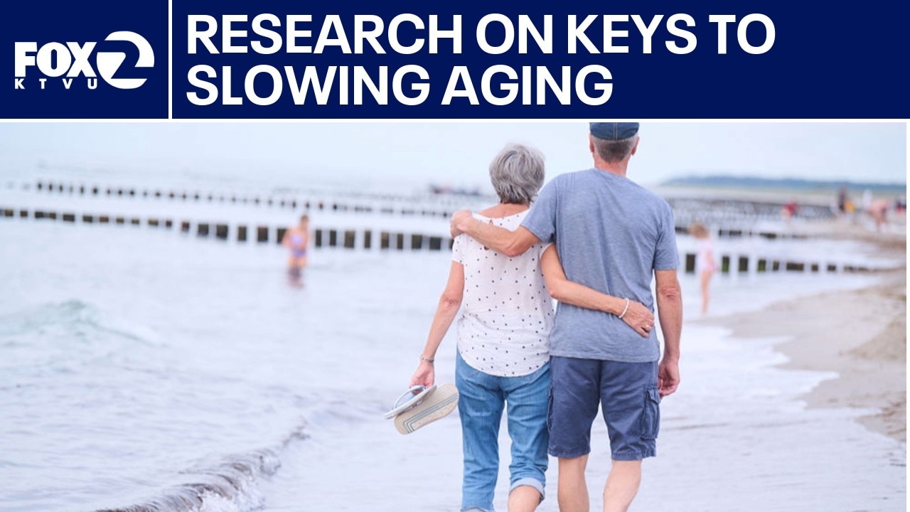 Key to slow aging unlocked by Stanford researchers