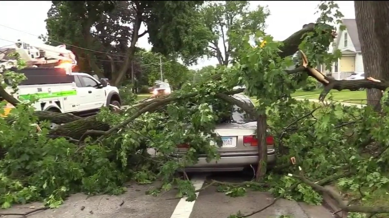 Heavy storm damage, downed trees reported in Joliet after severe weather