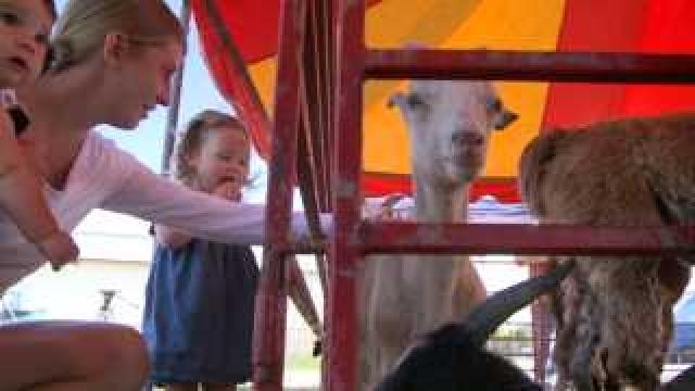 Ozaukee County Fair 2013