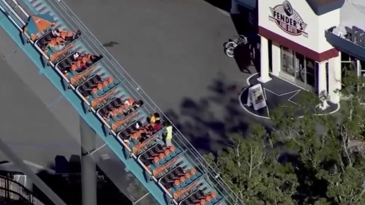 Witnesses describe horror as rider falls from roller coaster