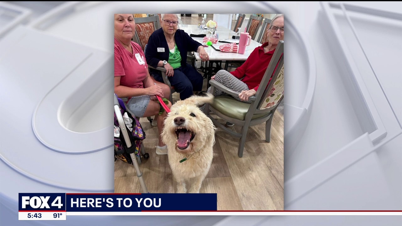 Here's To You: Roanoke Dog Treats