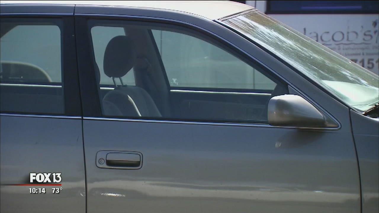 Officials look to solve Pinellas County's teen car theft problem