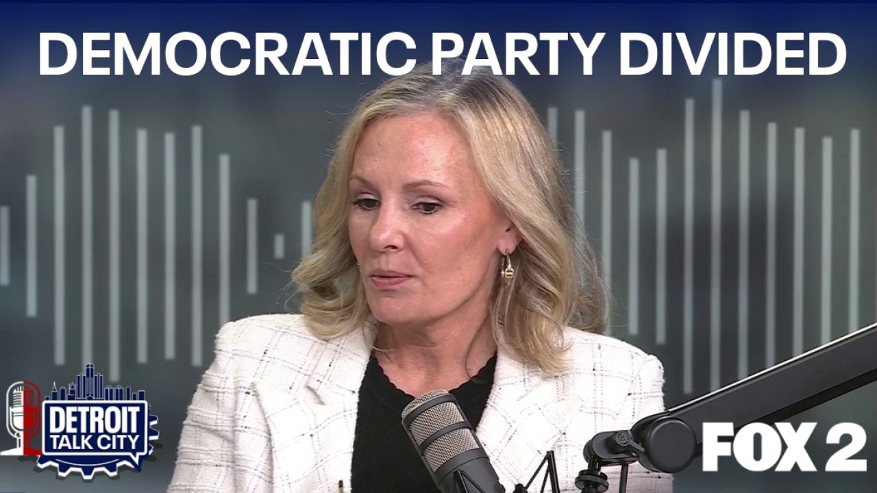 Karen McDonald slams the Michigan democratic party: disappointed in leadership