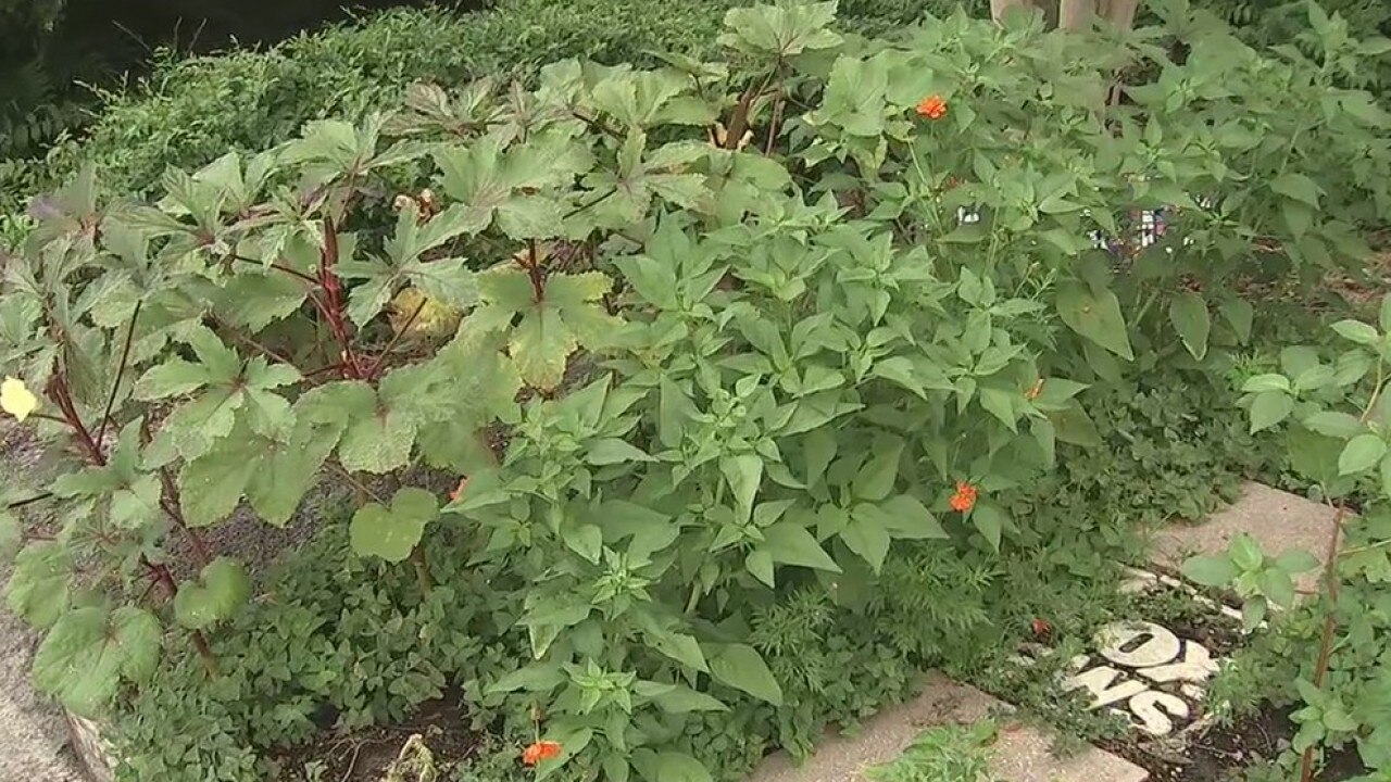 Summer gardening is underway, but you should also prepare for the fall
