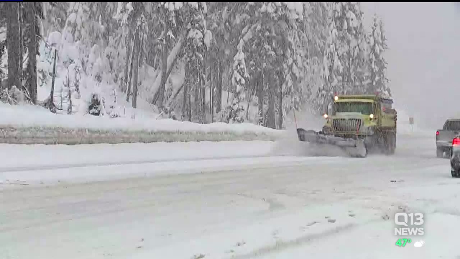 Stevens Pass snow