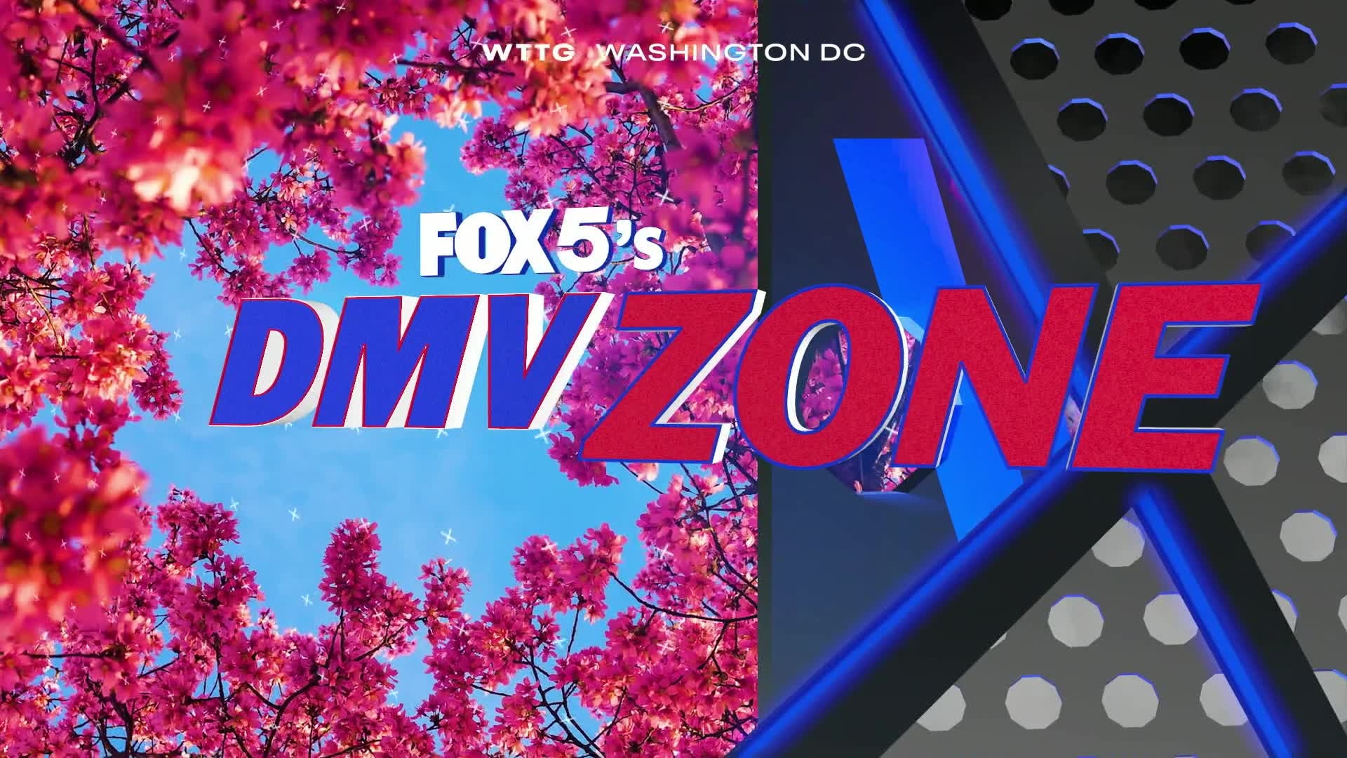DMV Zone: December 16, 2024