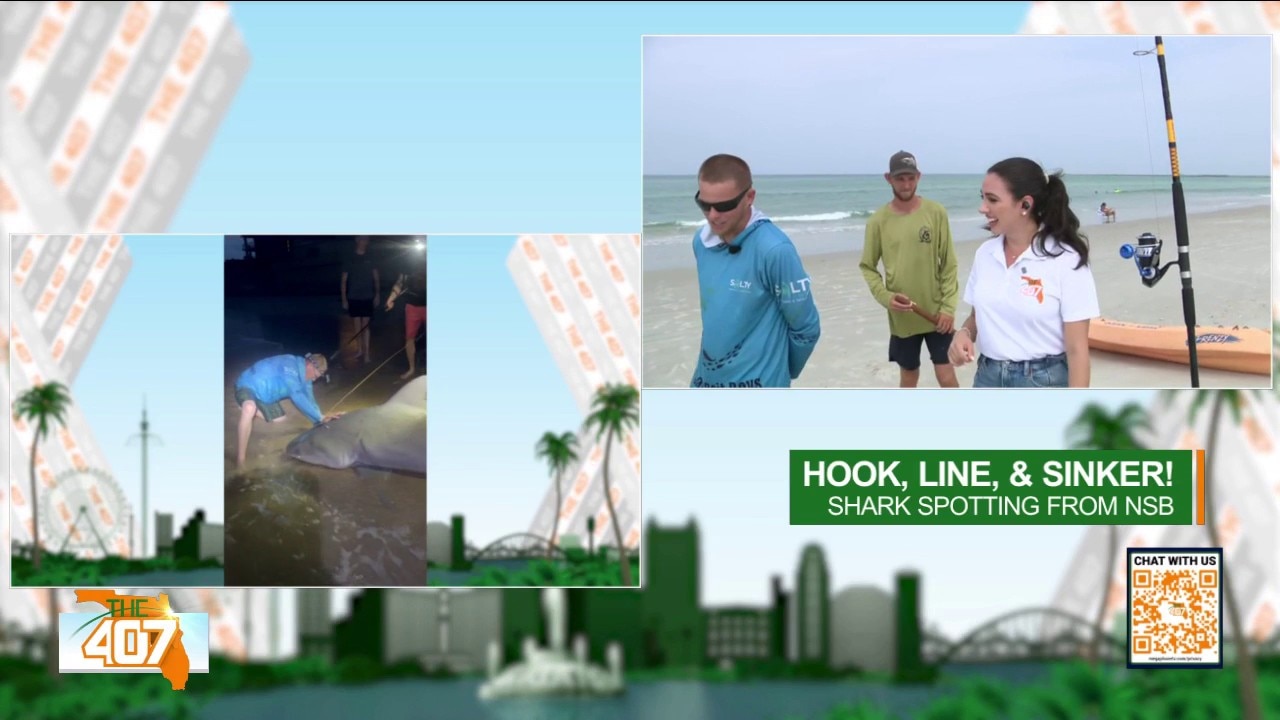 Inside shark fishing in New Smyrna Beach, the shark bite capital of the world