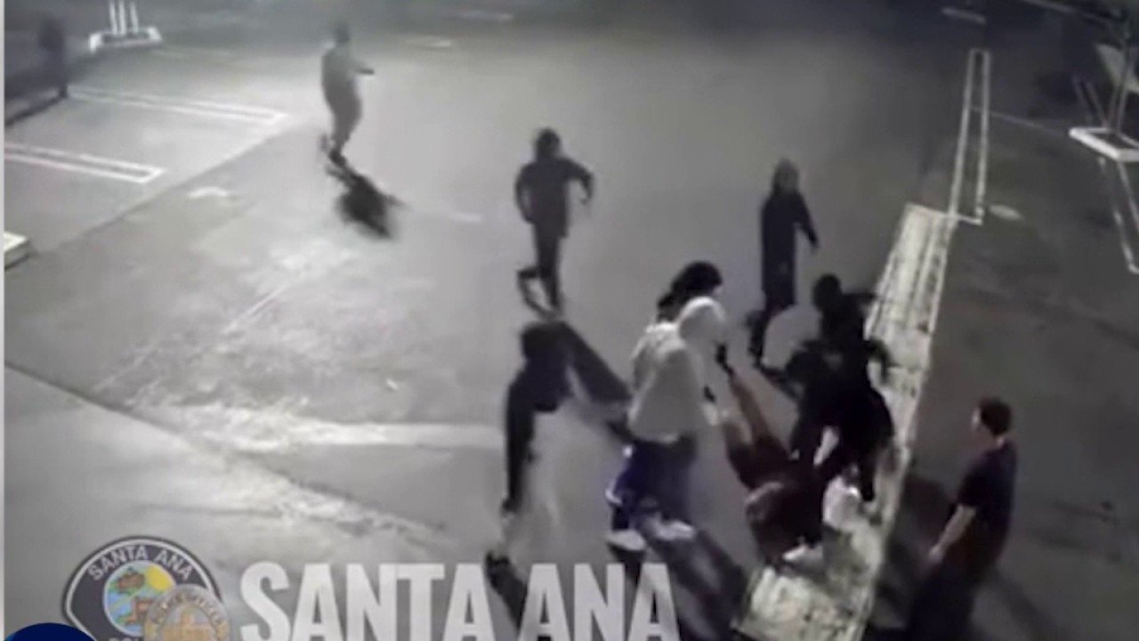 Santa Ana PD searching for assault suspects