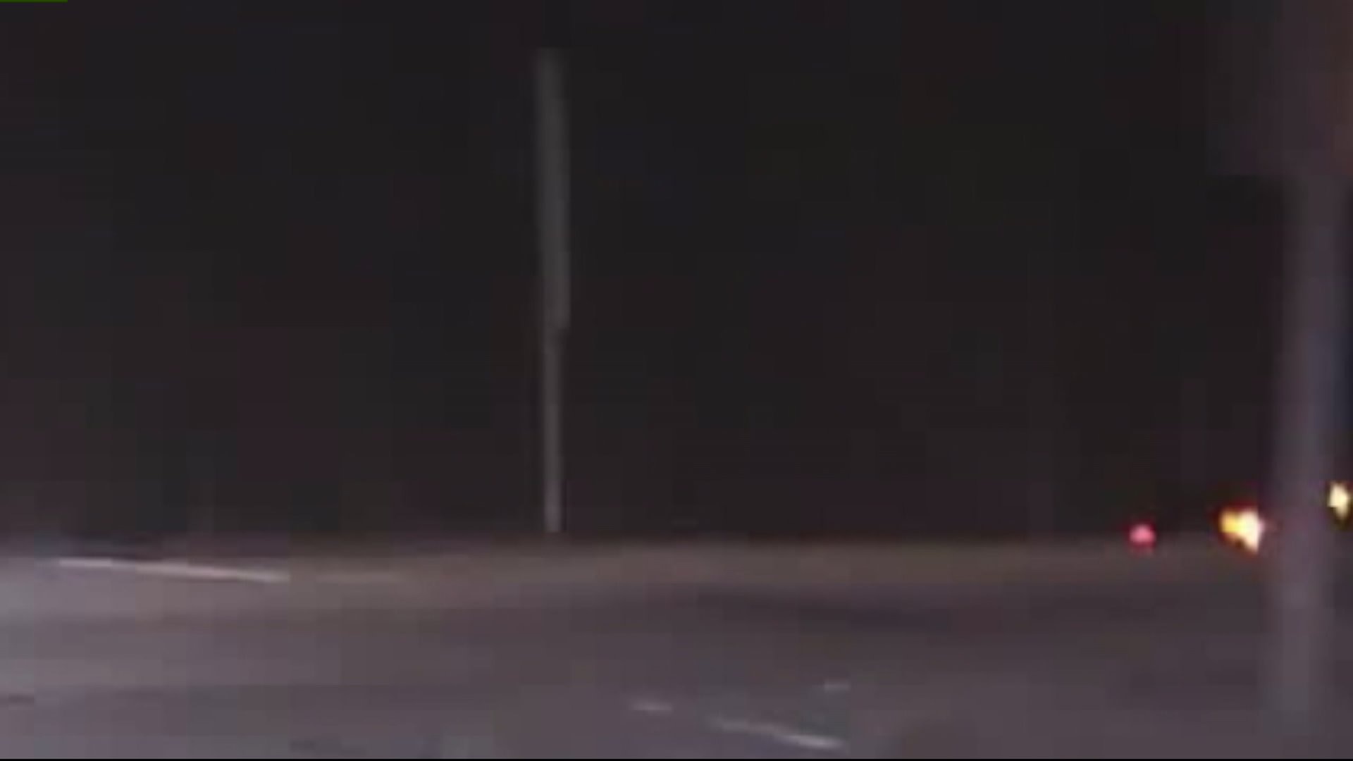 Bayside pursuit