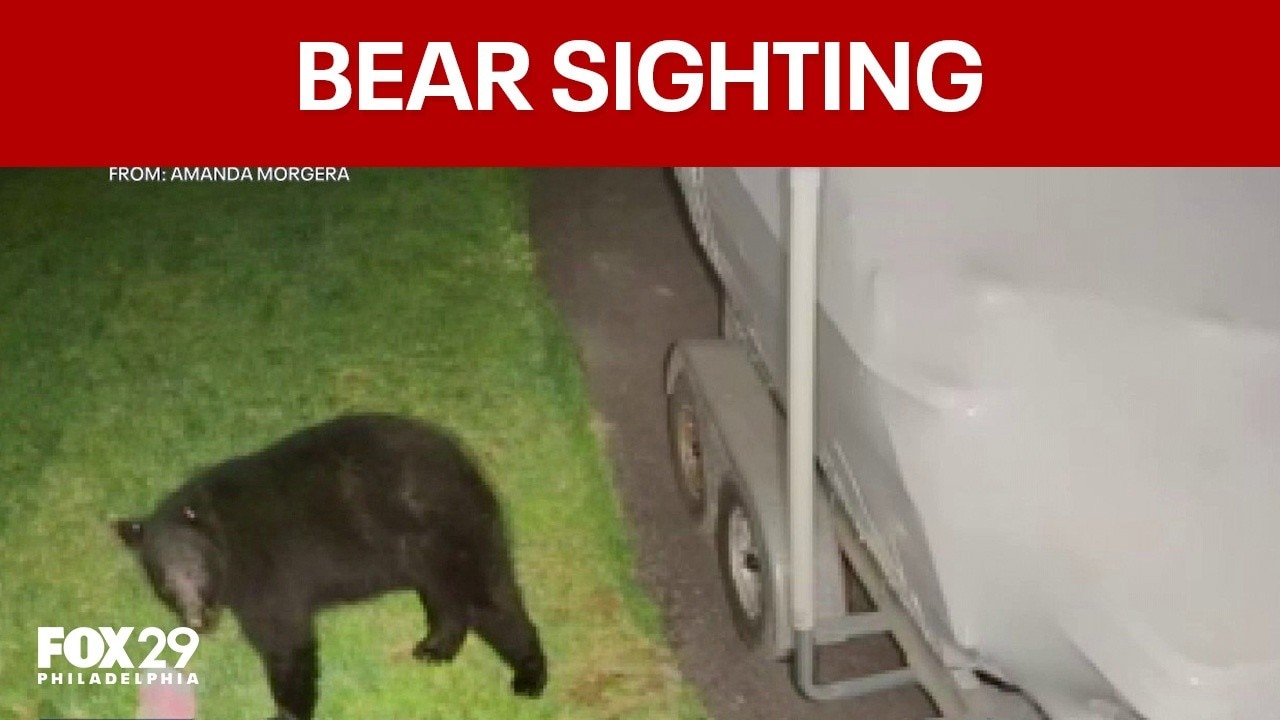 Bear sightings spark concern in Chester County neighborhood