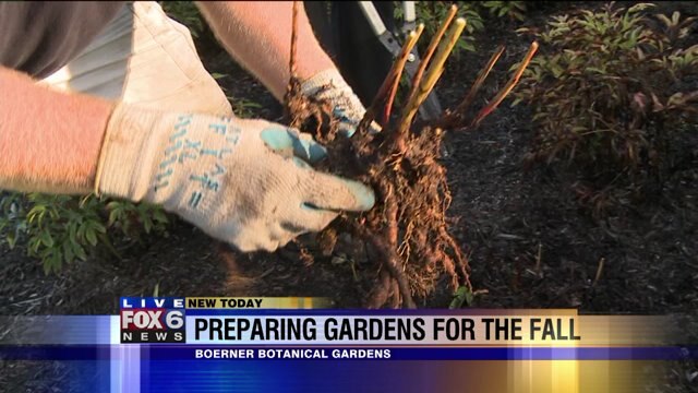 Laura gets tips, tricks for preparing your garden for fall