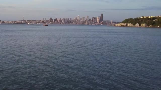 Humpback whale in Puget Sound