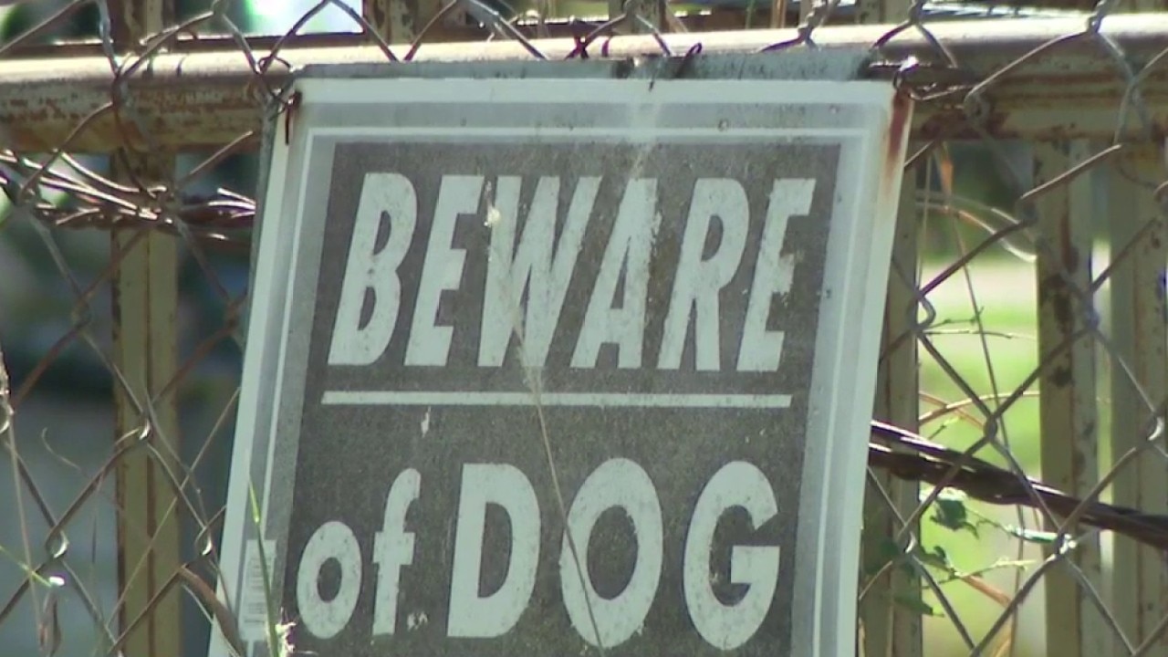 Caldwell County brutal dog attacks