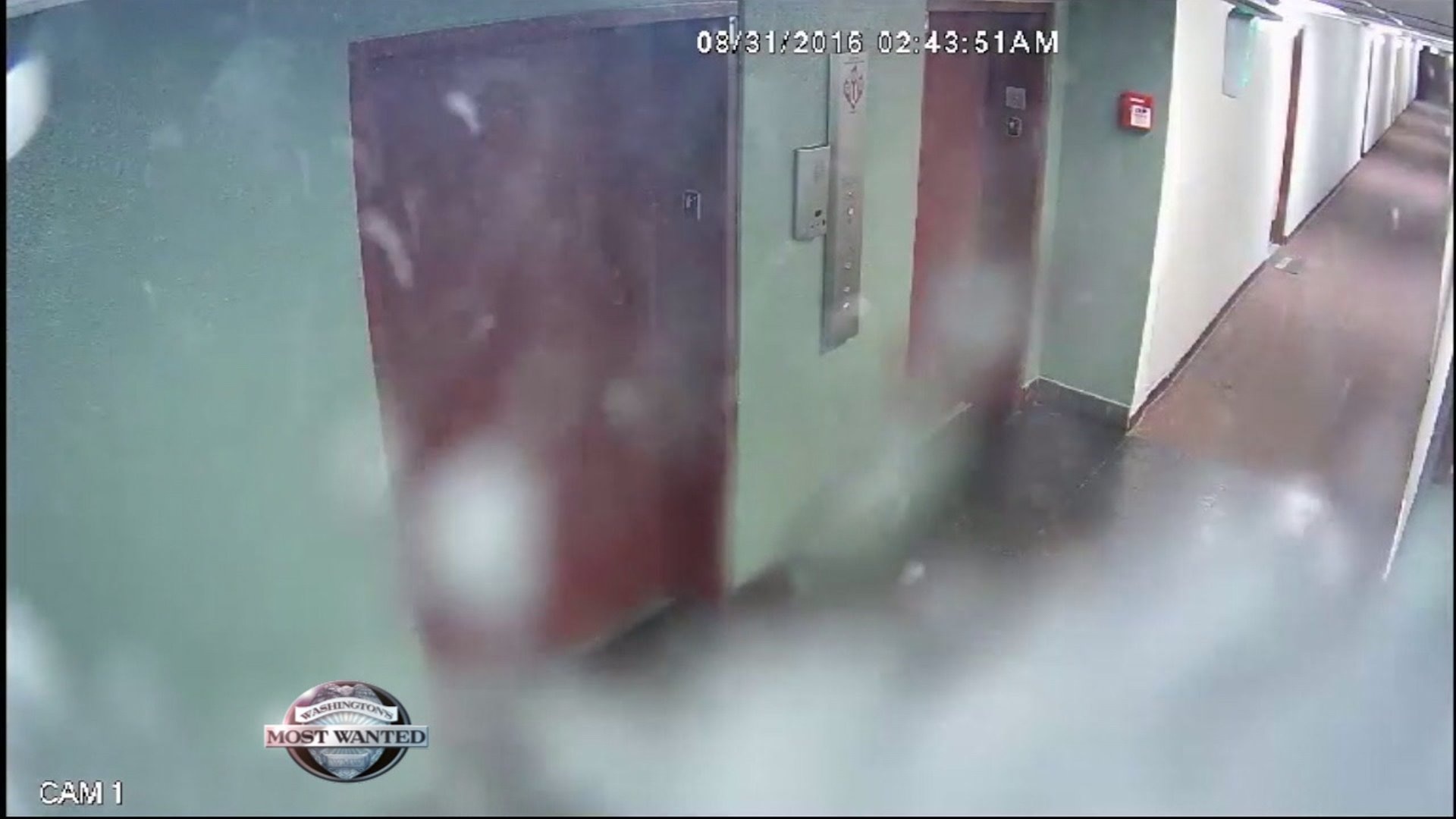 WANTED: `Spray Job` apartment burglar