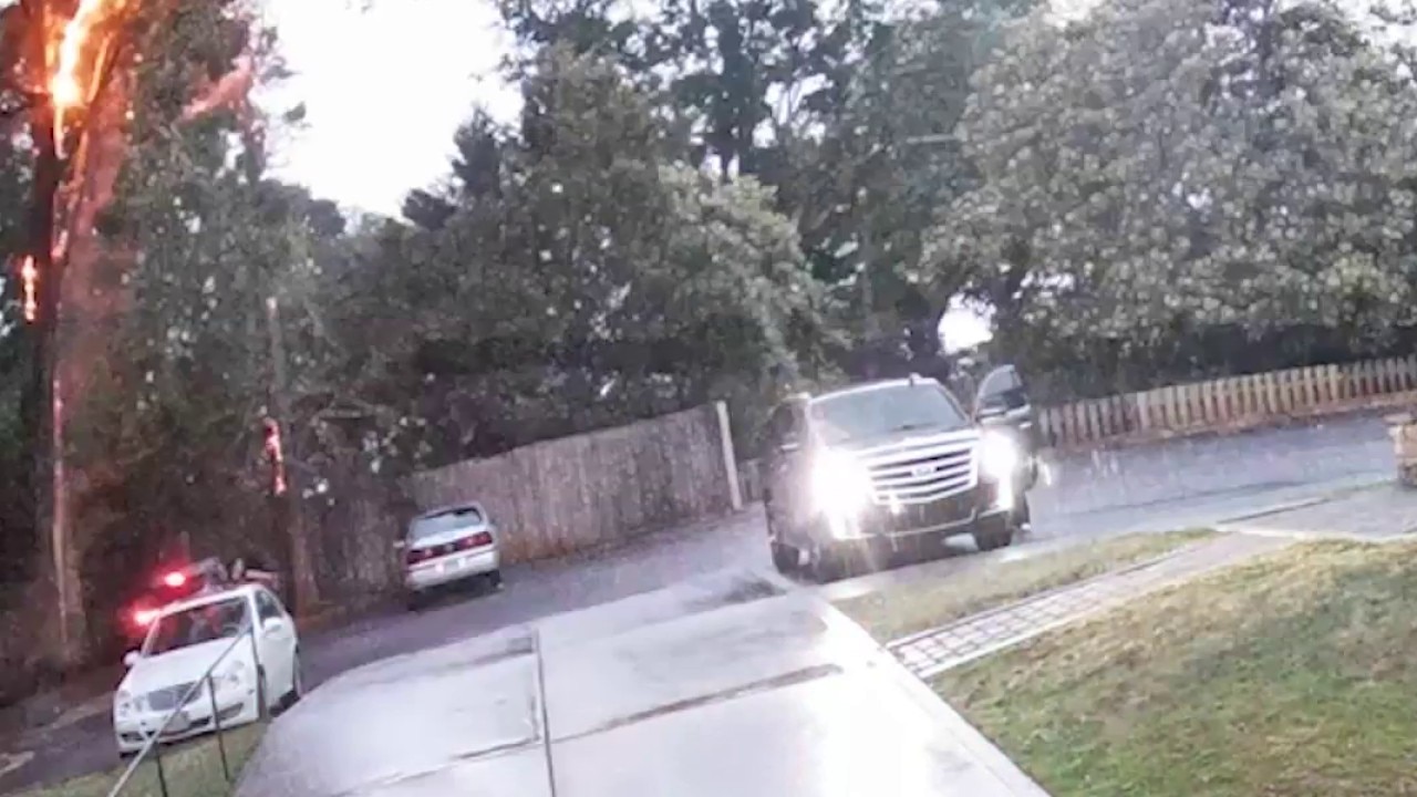 Survivor says lightning split tree then hit her