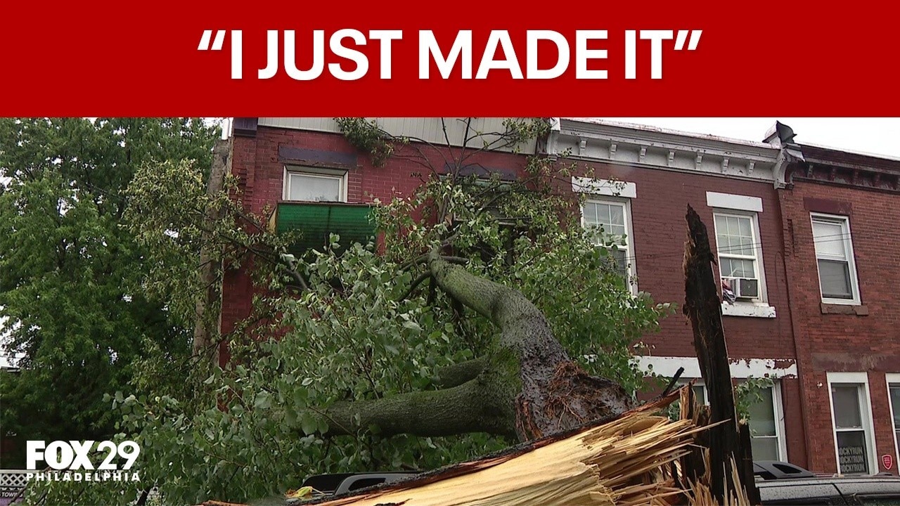 Tree falls onto homes, cars in North Philly after storm