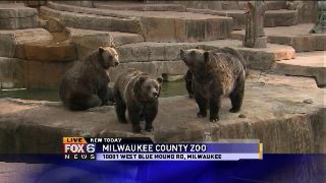 Zoo a la Carte