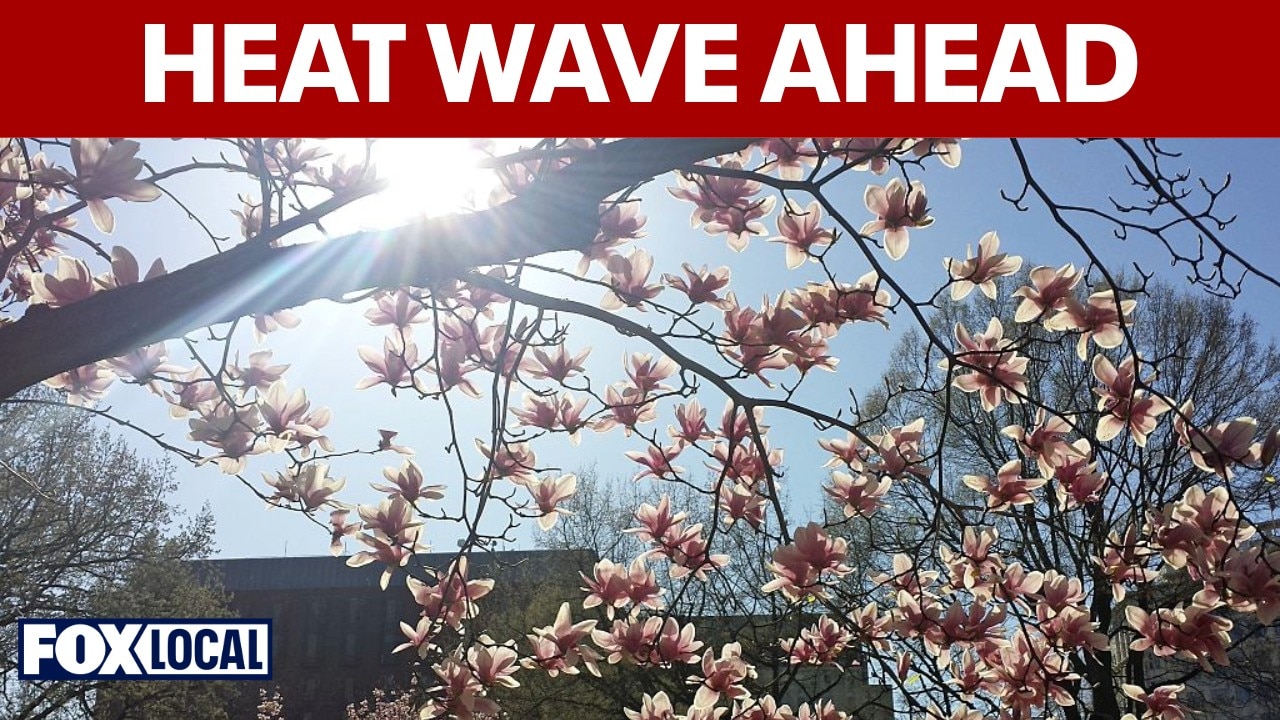 Heat wave to bring mid-90s and possible record heat to DC