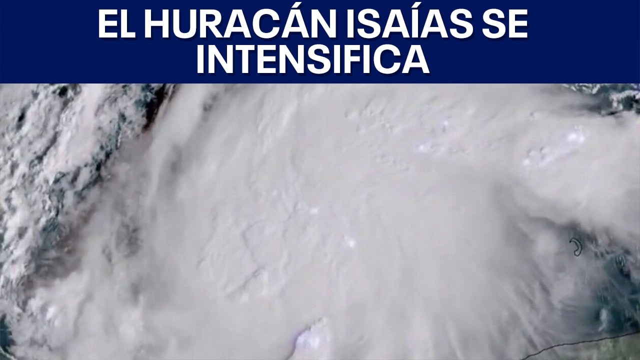 FOX 7 Español - 10/8/2026 Titulares