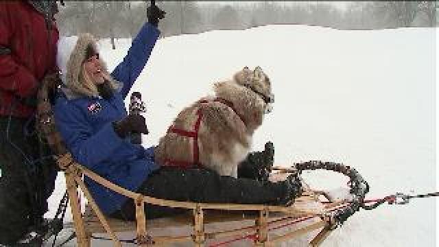 Laura has a blast with the sled dogs
